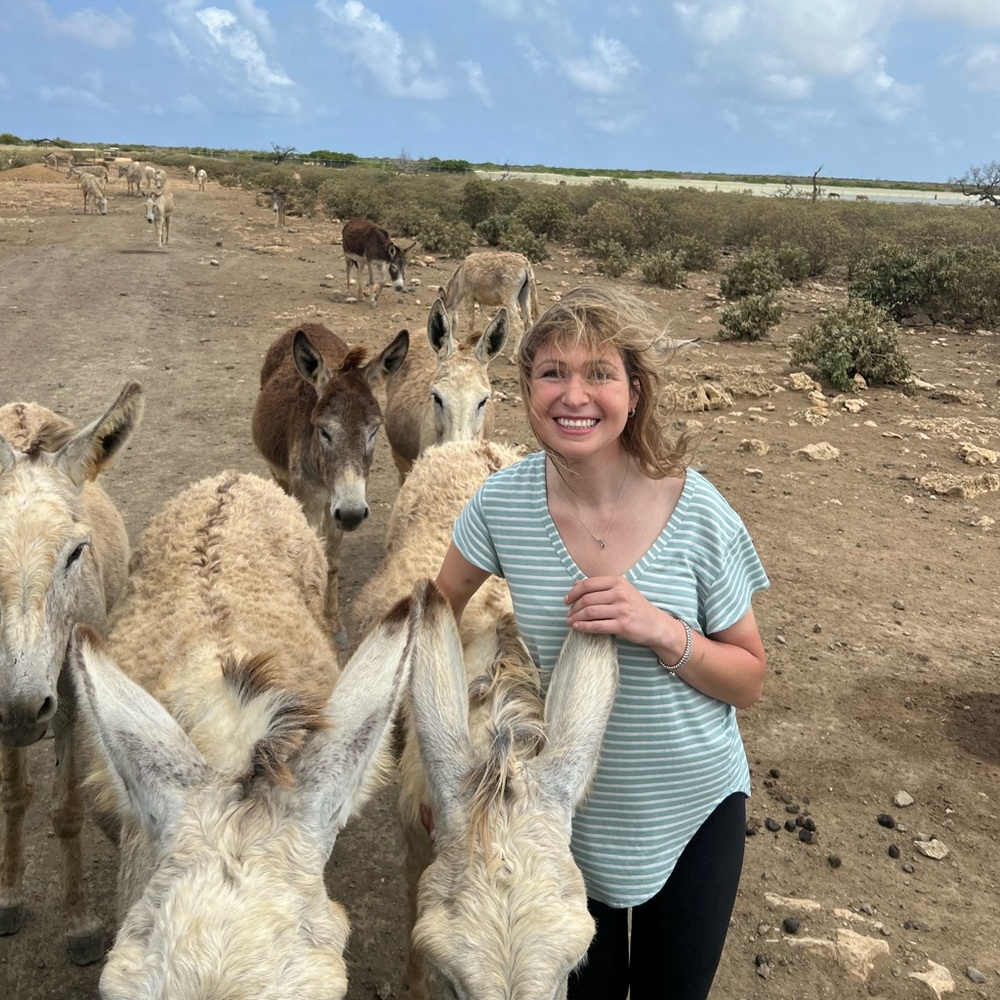 Meet your Posher, Miriam r.